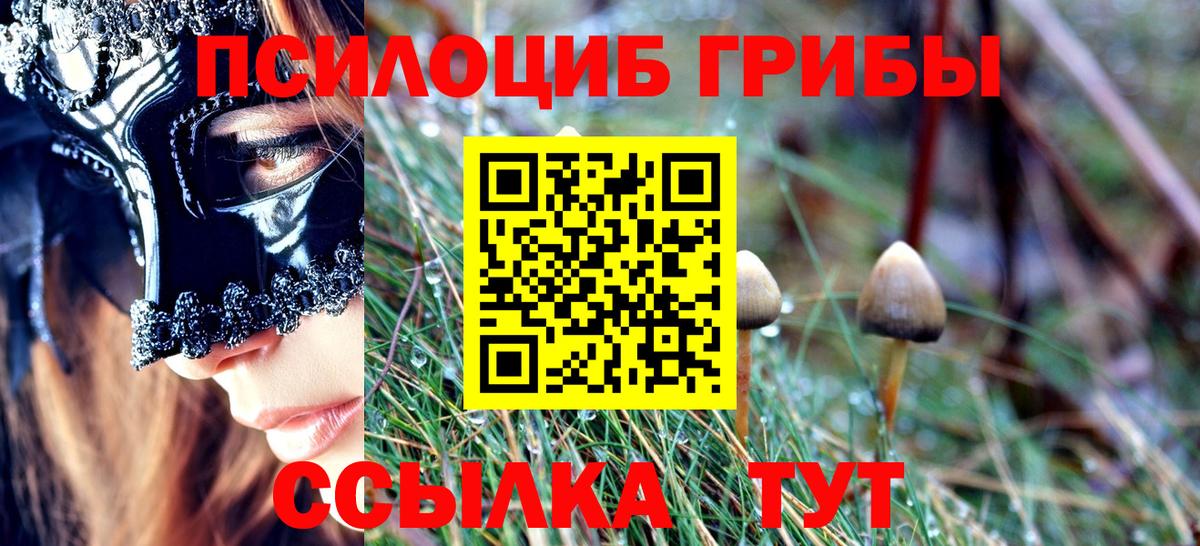 Красноуфимск  Псилоцибиновые грибы мицелий  Вход с VPN 