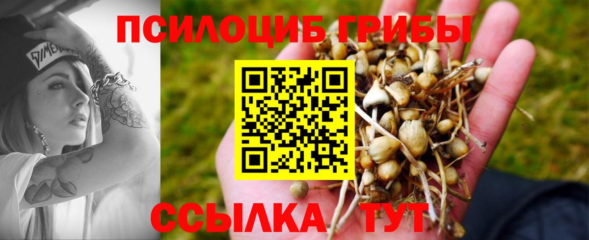 Псилоцибиновые грибы GOLDEN TEACHER Красноуфимск